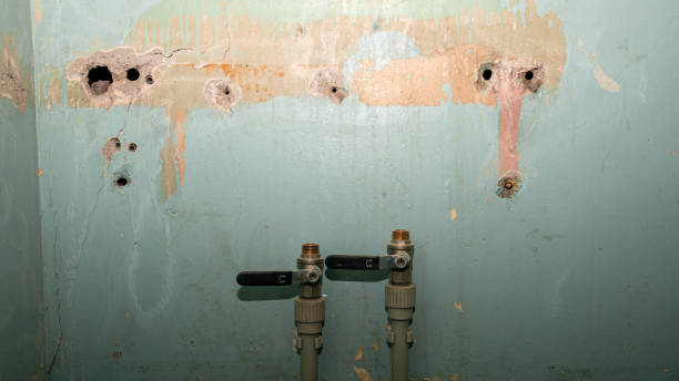 Best Carpet water damage restoration  in Bangor, ME